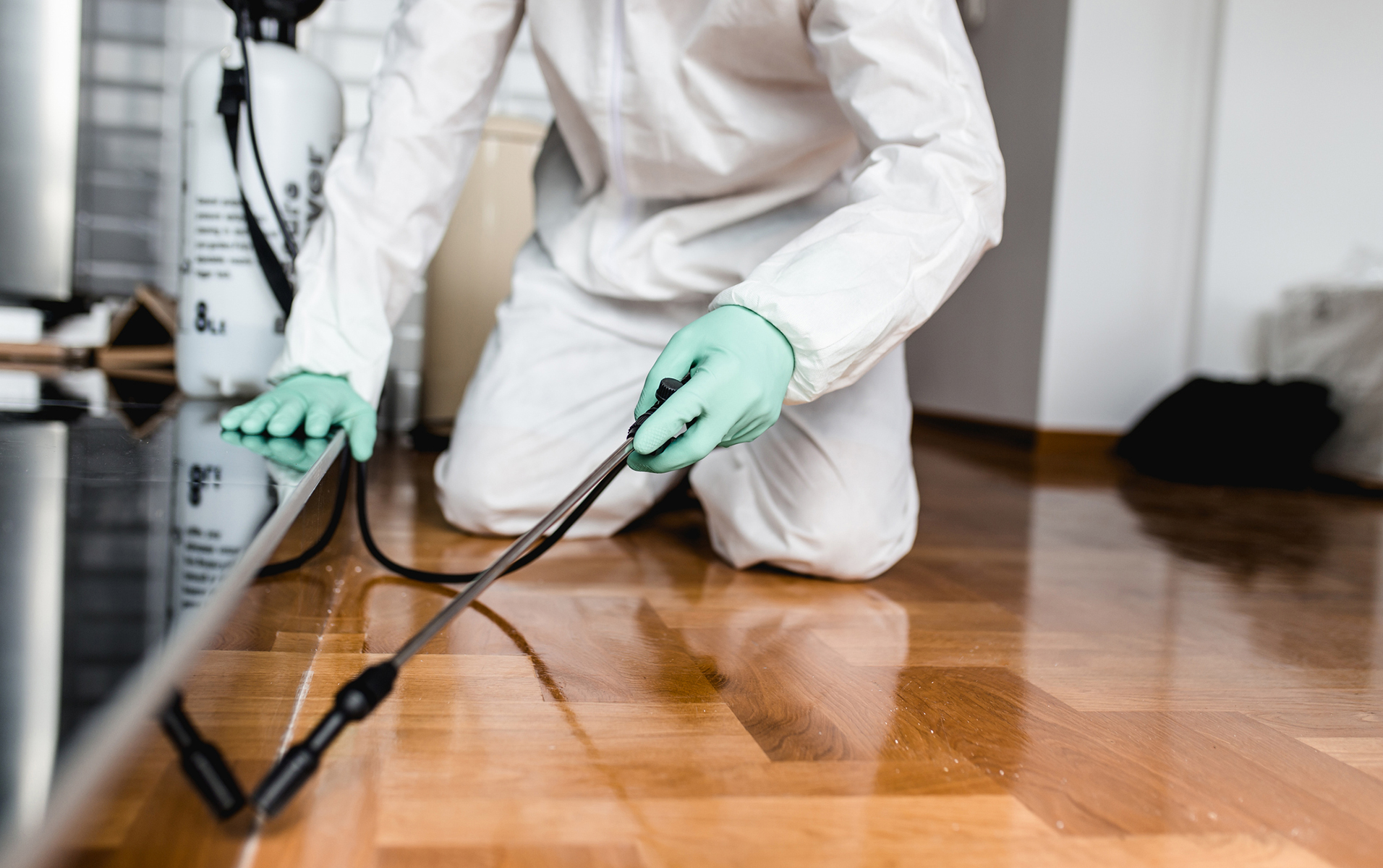 things to prepare before your pest control arrives
