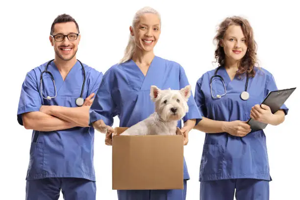 how veterinary clinics train staff for emergency preparedness