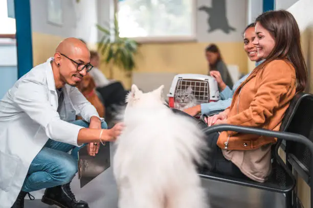how veterinary hospitals provide behavioral counseling for pets
